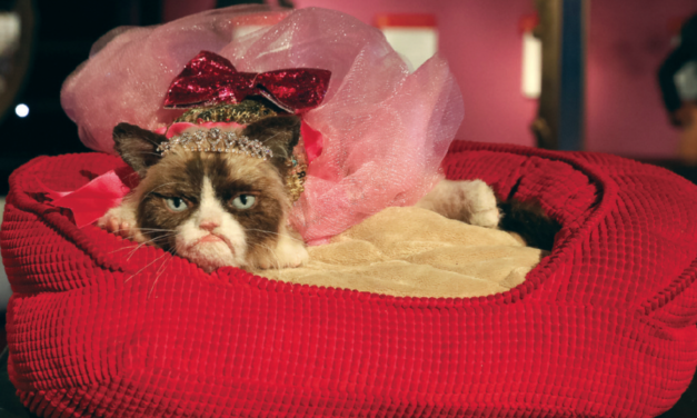 Grumpy Cat jetzt neu im Madame Tussauds Wien
