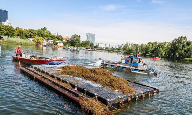 Mähboot – Saisonstart auf der alten Donau